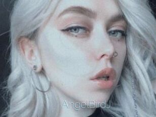 AngelBirdJ