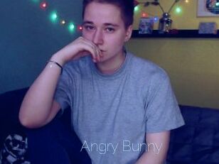 Angry_Bunny
