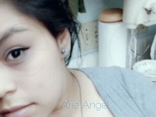 Arie_Angel