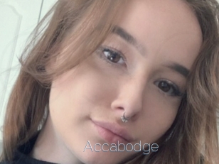 Accabodge