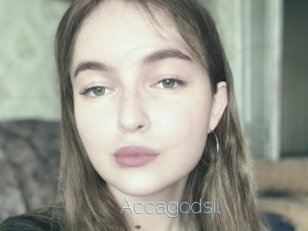 Accagodsil