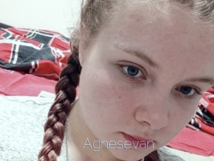 Agnesevan
