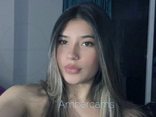 Ambercams
