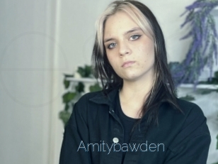 Amitybawden
