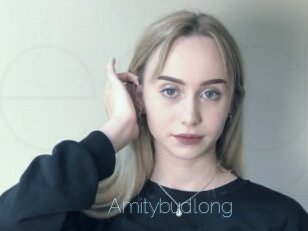Amitybudlong