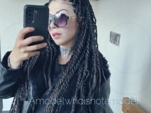 Amodelwhoisnotamodel
