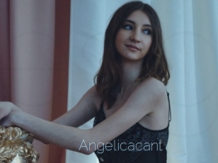 Angelicacant
