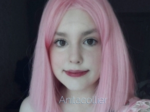 Anitacollier