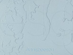 Annisbeeson
