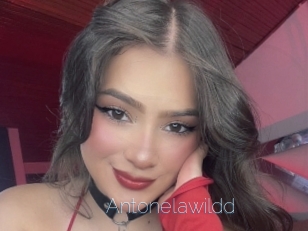 Antonelawildd