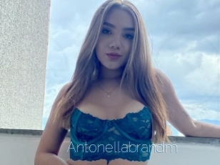 Antonellabrandm