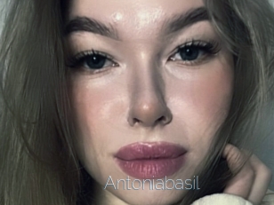Antoniabasil