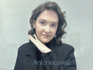 Antoniacavell