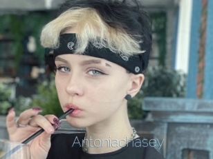 Antoniachasey