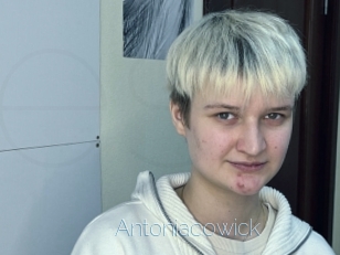 Antoniacowick