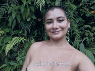 Artemiznayak