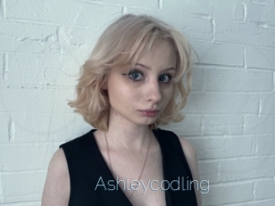 Ashleycodling