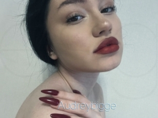 Audreybigge