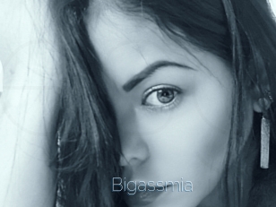 Bigassmia