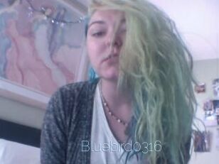Bluebird0316