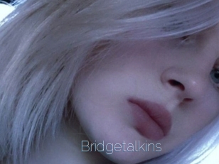Bridgetalkins