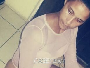 CASEY2004