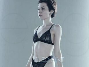 CLEO_MINT