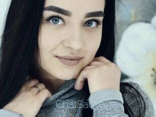 ChatSauvage