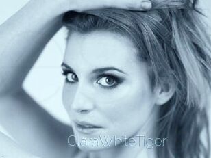 ClaraWhiteTiger