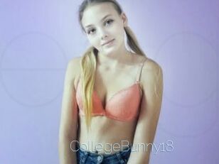 CollegeBunny18
