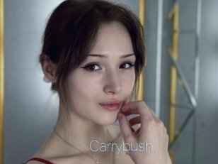 Carrybush