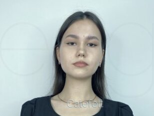 Catefelt