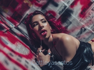 Cattleyasantos