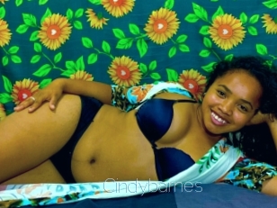 Cindybarnes