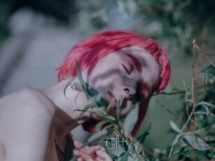 Citty
