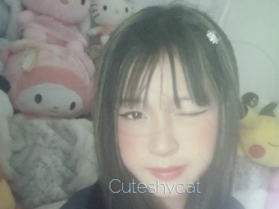 Cuteshycat