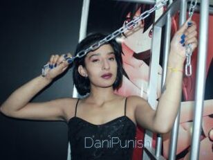 DaniPunish