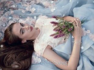 DreamSleep
