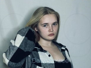 Daisygambee