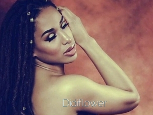 Didiflower