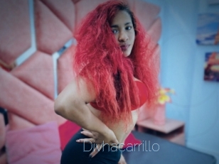 Divhacarrillo