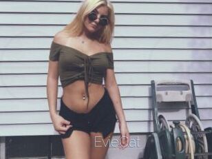 EvieCat