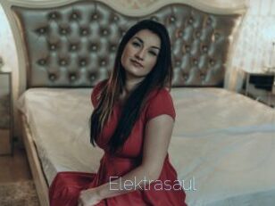Elektrasaul