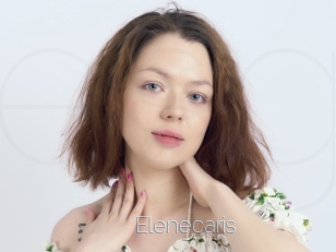 Elenecaris