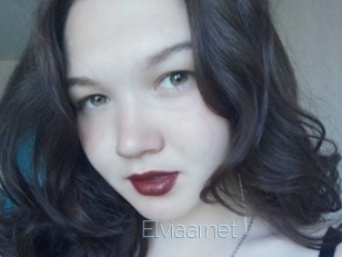 Elviaarnet