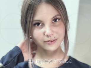 Elviagreenhouse