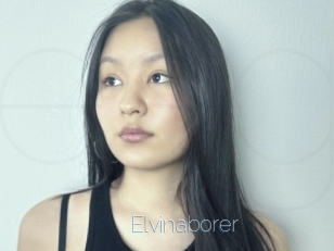 Elvinaborer
