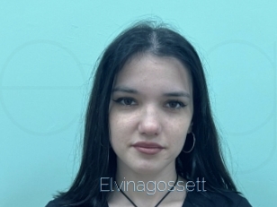 Elvinagossett