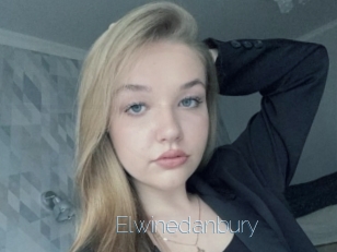 Elwinedanbury