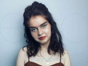 Elwynabench